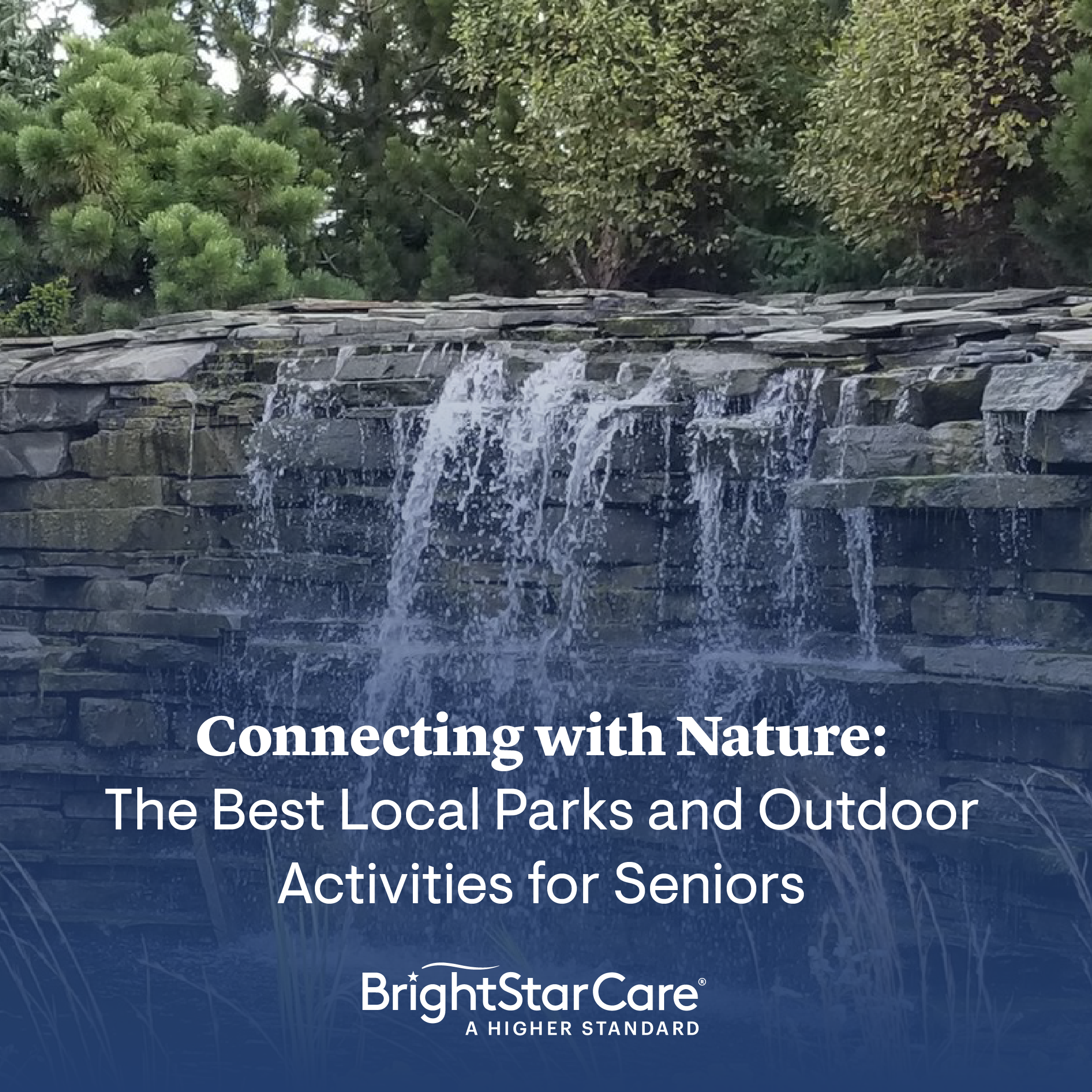 connectingwithnatureHamilton-(1).png connectingwithnatureHamilton-(1).png