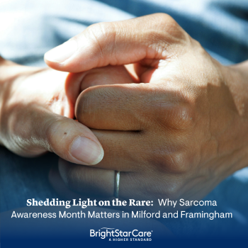 sheddinglightontrare-milford-(1).png sheddinglightontrare-milford-(1).png