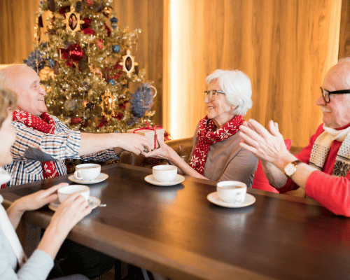 BSC-South-Orange-County-Holiday-Care-Tips-for-Alzheimer-s-Patients-and-Their-Families-(3).png