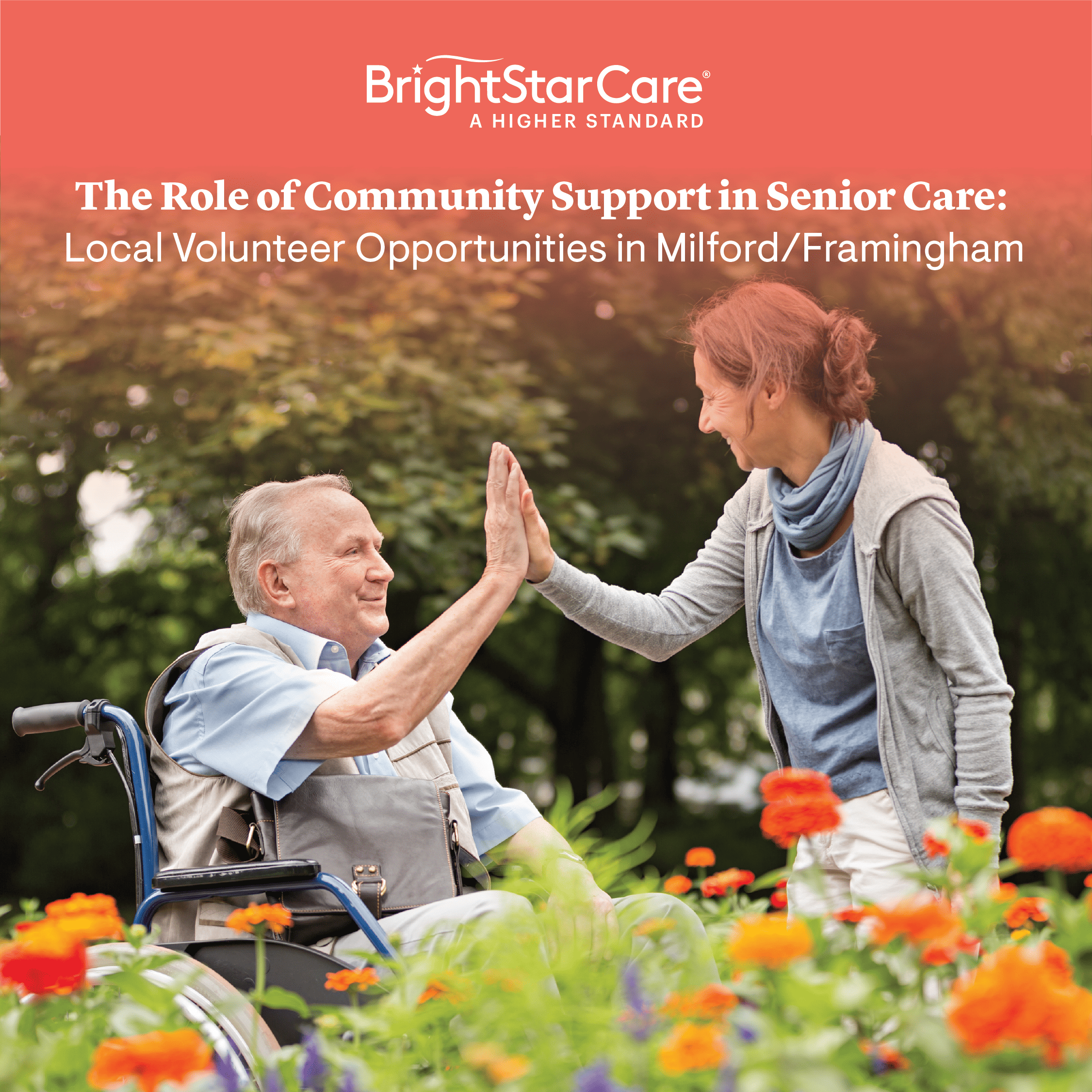 theroleofcommunitysupport-(1).png theroleofcommunitysupport-(1).png