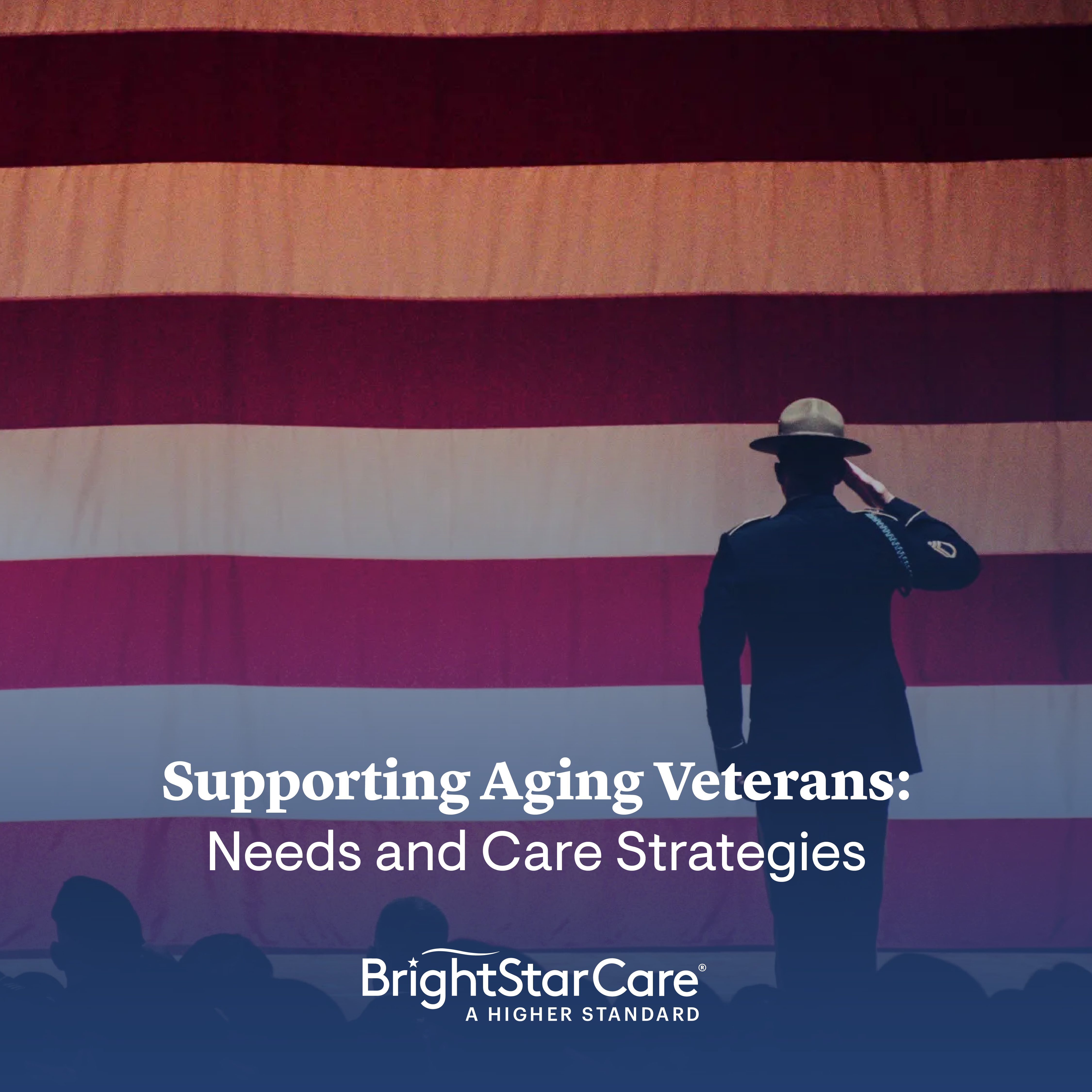 supportingagingveterans-(1).png supportingagingveterans-(1).png
