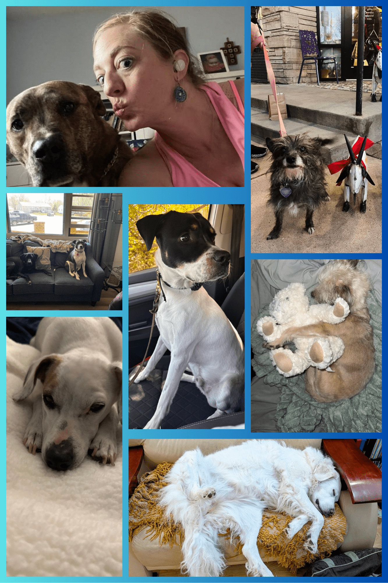 National-Rescue-Dog-Day-1-Arbrie.png National-Rescue-Dog-Day-1-Arbrie.png
