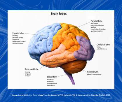 BSC-copy-(1).png BSC-copy-(1).png