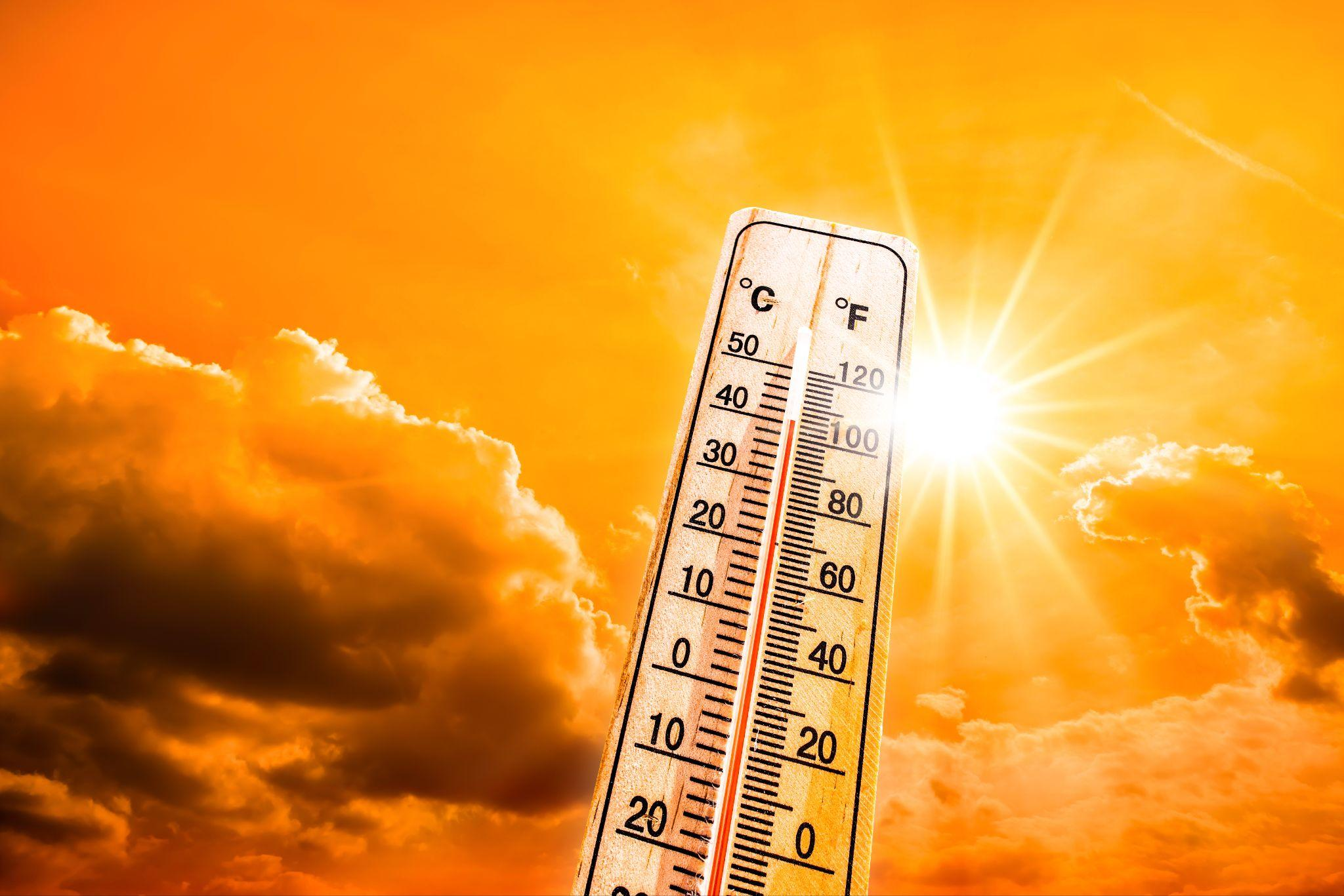 Summer-Heat-(1).png