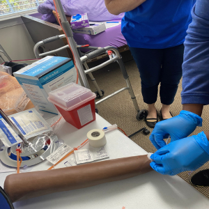 IMG_8665-(1).jpg IMG_8665-(1).jpg