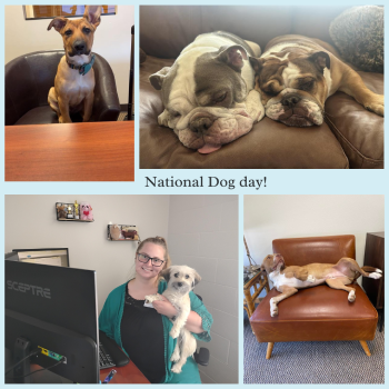 National-Dog-Day-(3).png National-Dog-Day-(3).png