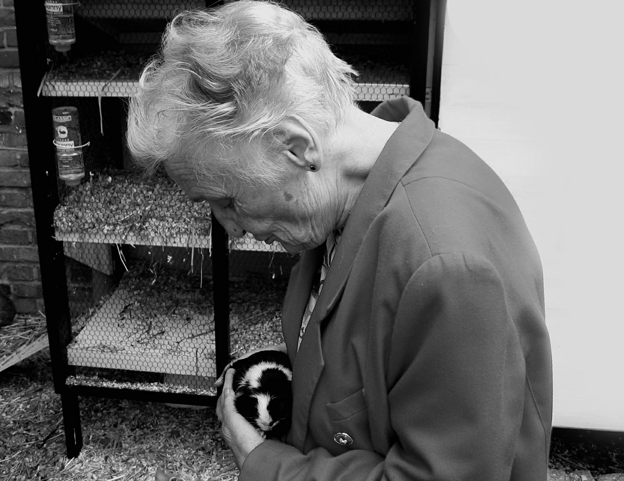 dependent-441406_1280