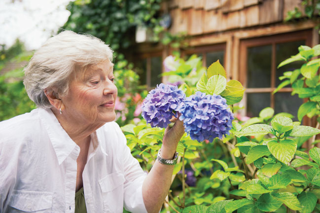 BrightStar Delirium / Dementia Care Program