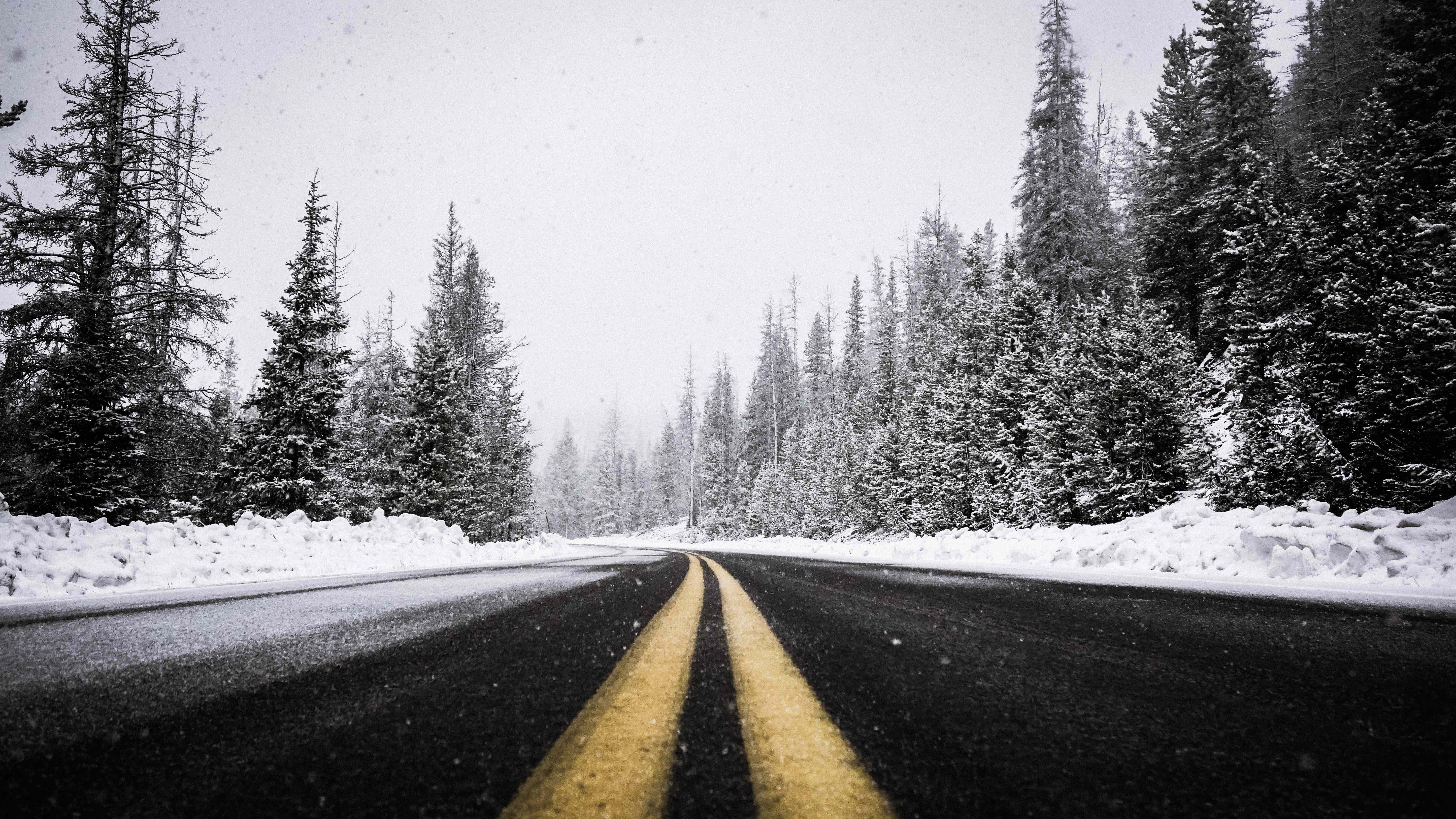 Photo of snowy road lined with trees