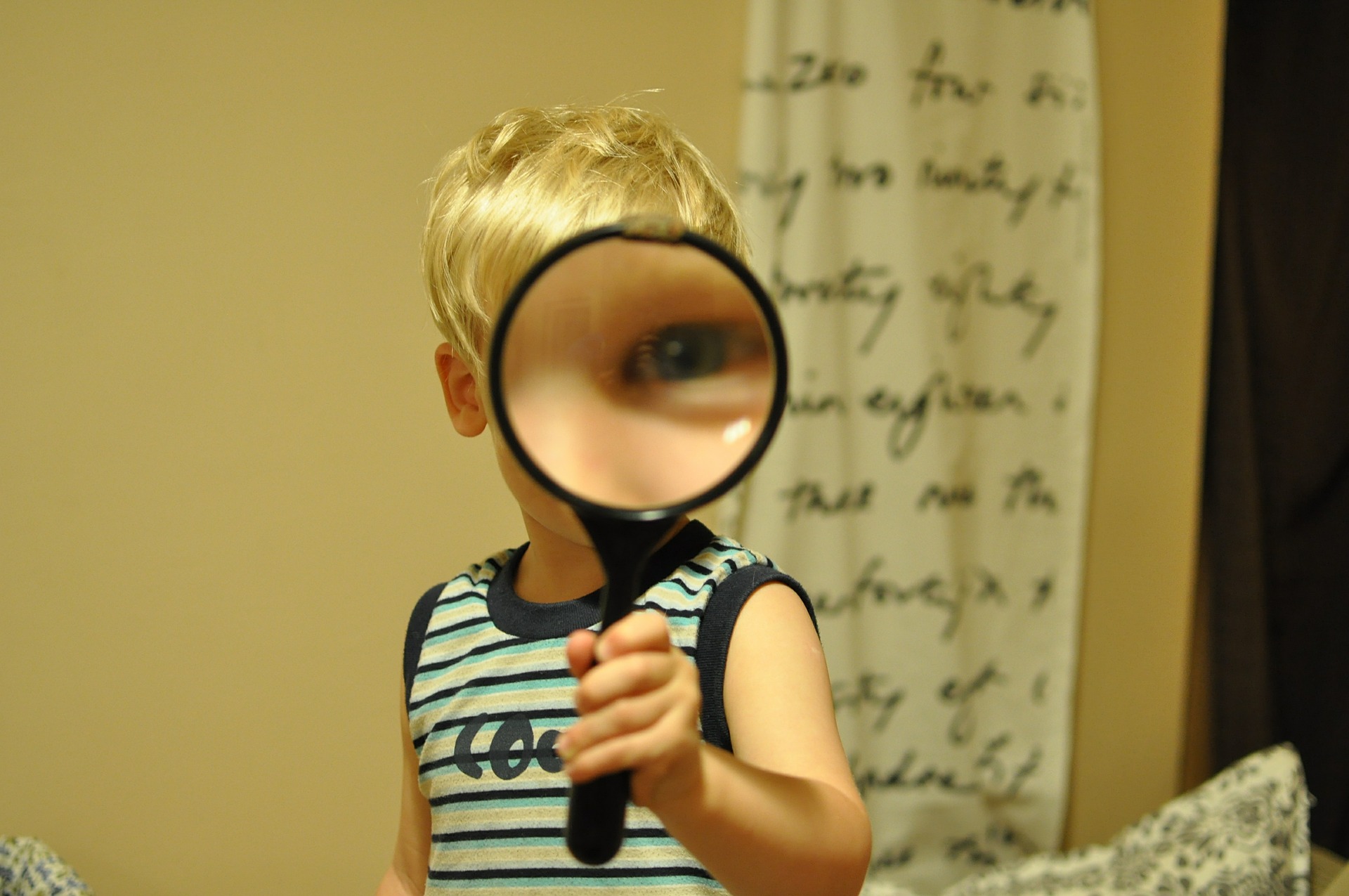 magnifying-glass-552852_1920