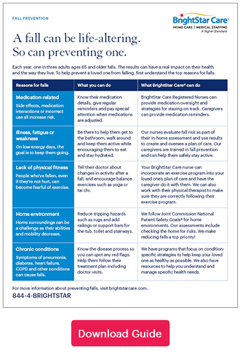 Download guide to fall causes and prevention