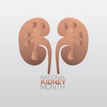Kidneys-3.jpg