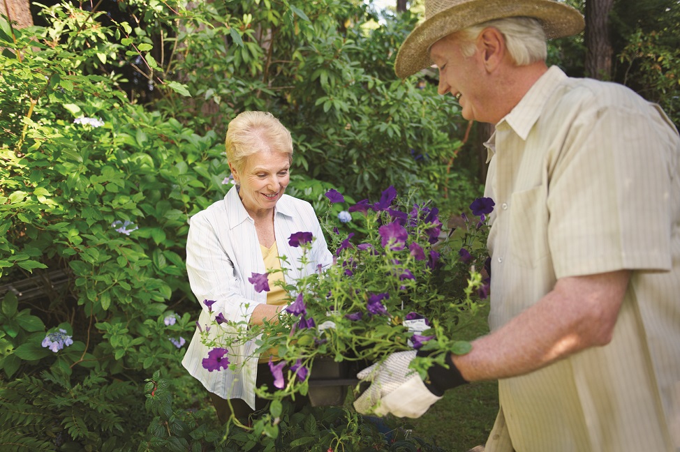 Senior Couple Gardening