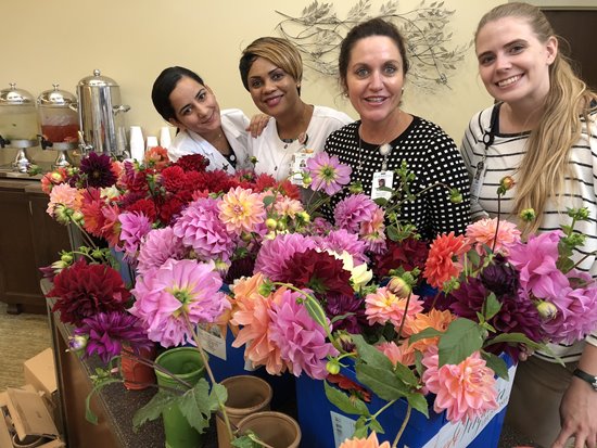 BrightStar-Care-Flowers.jpg BrightStar-Care-Flowers.jpg