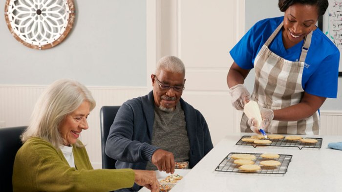 Household Assistance Caregiver