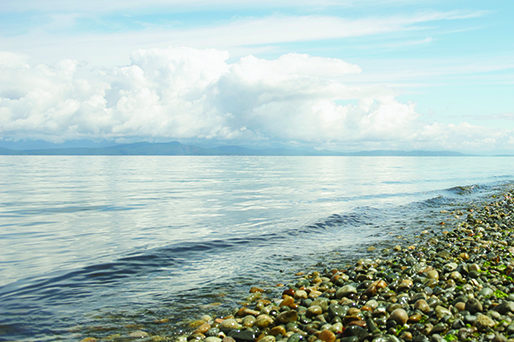 Serene shoreline