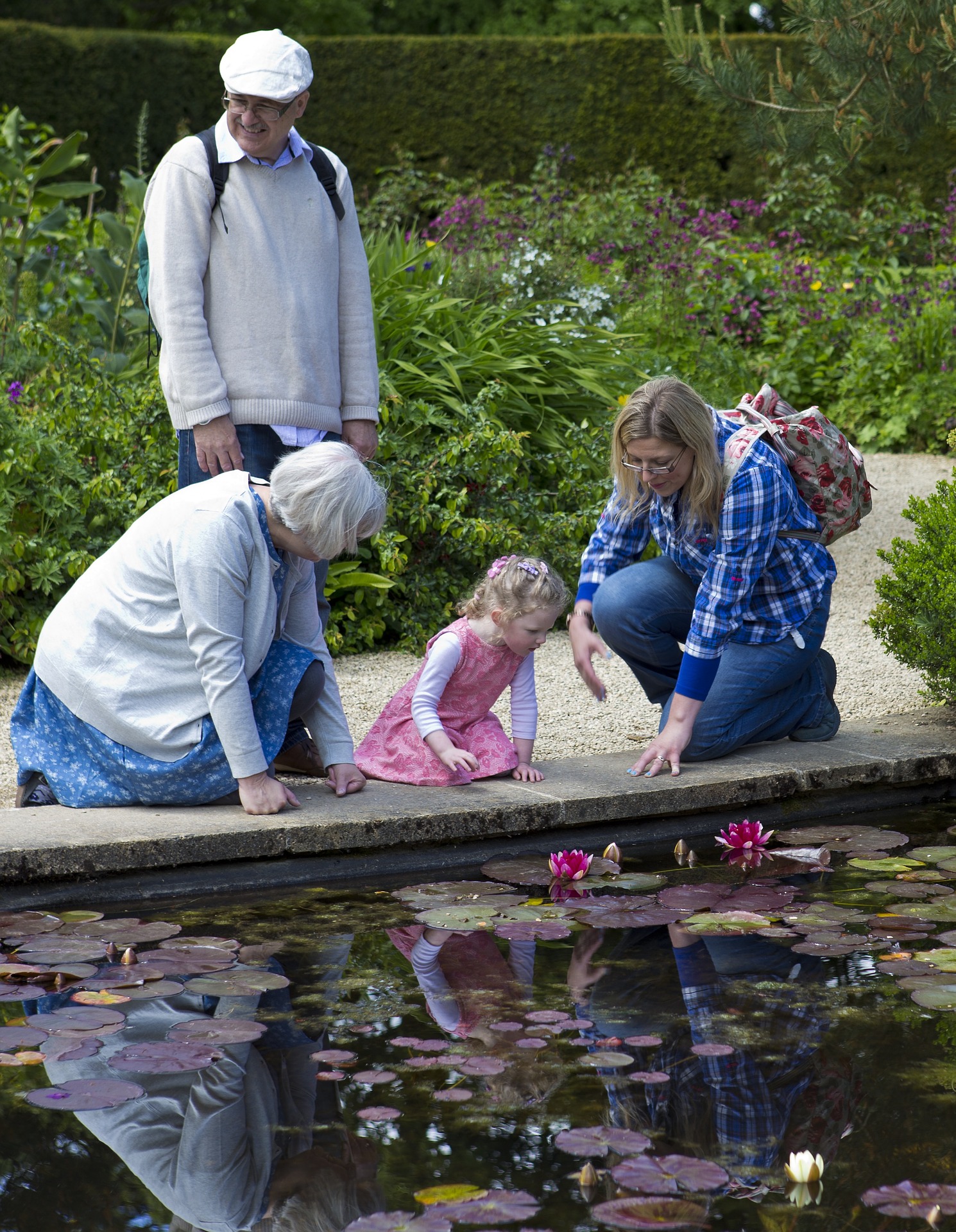 lilly-pond-805207_1920